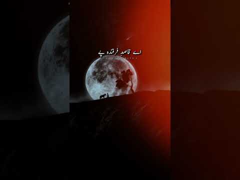 Tajdaar e haram | atif Aslam | best qawali #trendingshorts #muslimcontent #viralvideo