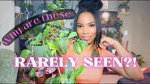 Underrated Plants you RARELY see | But Why?!