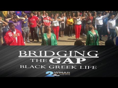 Bridging the Gap: