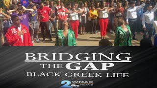 Bridging the Gap: Black Greek Life