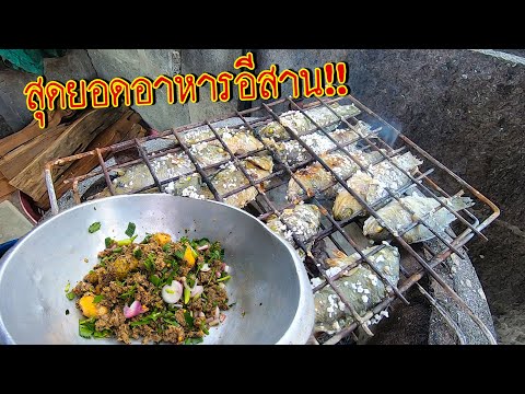 ก้อยปลา (ดิบ) + ใส่มดแดง | ทำ#อาหารอีสานบ้าน #ฮักอีสานบ้านเฮา.. 