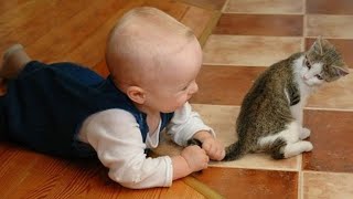 Funny Babies Playing With Dogs And Cats Compilation