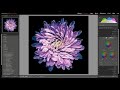 Color Grading in Lightroom Classic, Lightroom, and Adobe Camera Raw