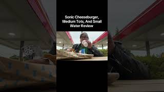 Sonic Cheeseburger, Medium Tots, And Small Water Review