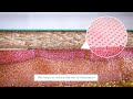 Kliniderm silicone wound contact layer animation