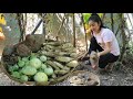 White arrowroot, yam, eggplant cooking / Free fresh vegetable around house / Cooking with Sreypov