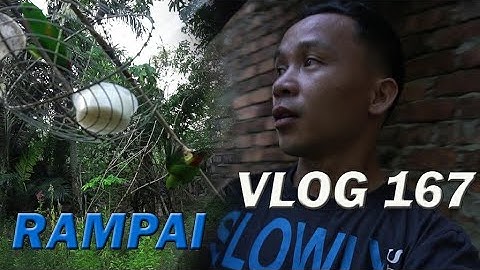 RAMPAI - Memikat ANAK SERINDIT _ Vlog 167