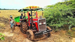 Mey Ferguson 5245 Di Tractor With Trolly Stucked In Deep Mud Pulling Johndeere 5310 4Wd Harvester