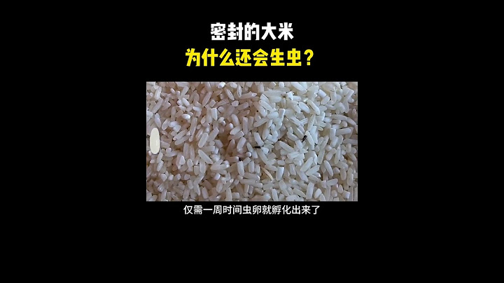 密封的大米为什么还会生虫 #大米 #生虫 #科普