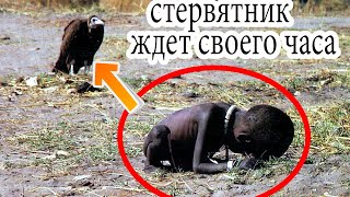 ЧТО СТАЛО С ЭТОЙ ДЕВОЧКОЙ, ФОТО КОТОРОЙ ПОЛУЧИЛО ПУЛИЦЕРОВСКУЮ ПРЕМИЮ