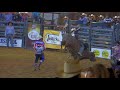 Fiesta bull riding 20170803 159 bull buzzer