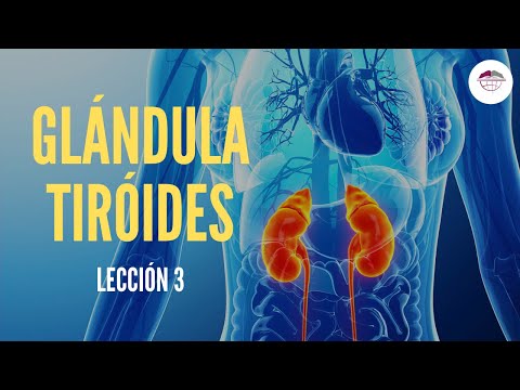 Vídeo: Función, Ubicación E Imágenes De La Glándula Tiroides - Mapas Corporales