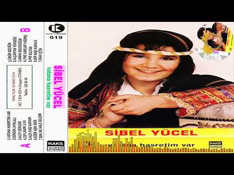 Sibel Yücel -  Yine Karlar Yağmış