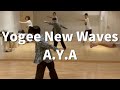 Yogee New Waves - A.Y.A / YOSHITO Thu. 20:00 HIPHOP CLASS