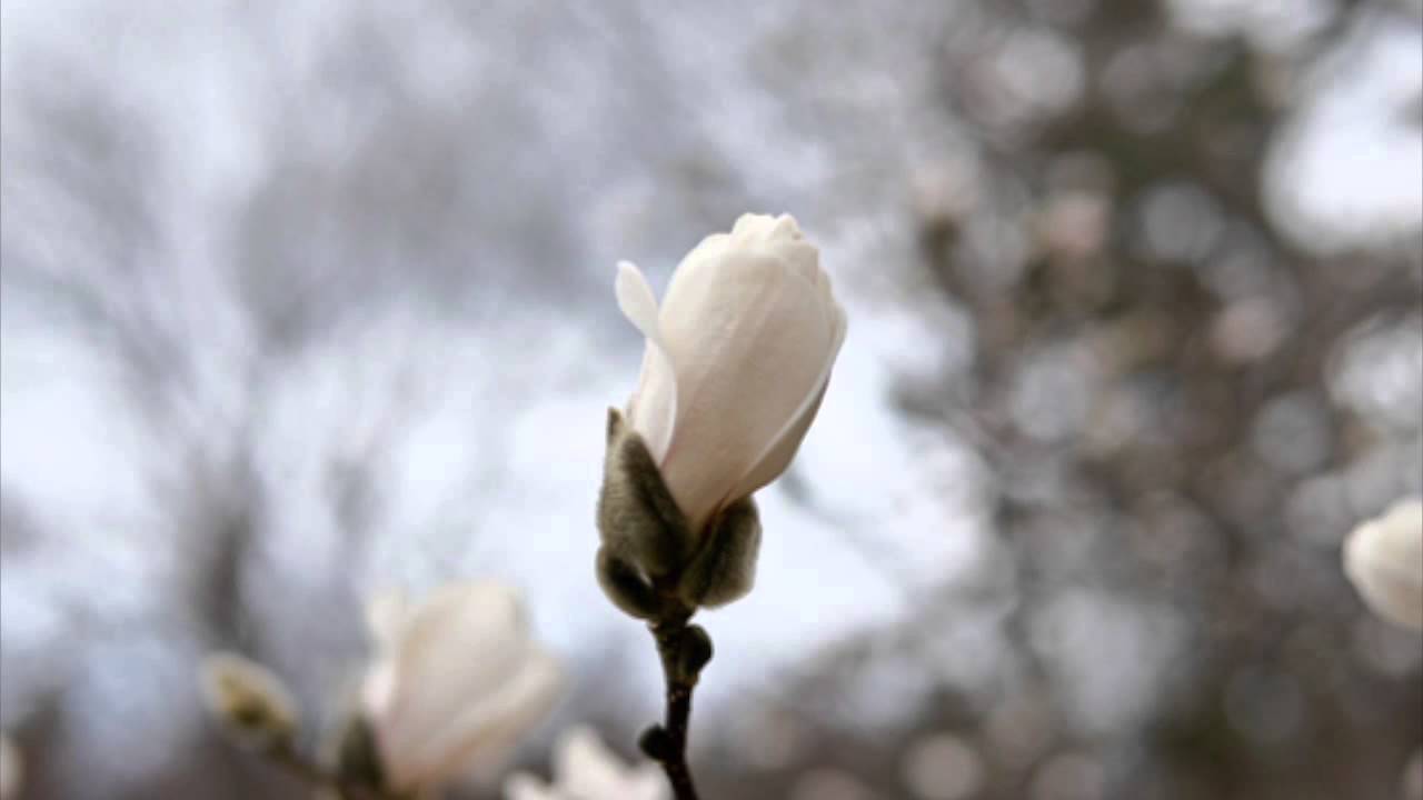 3 Minute Body Scan YouTube