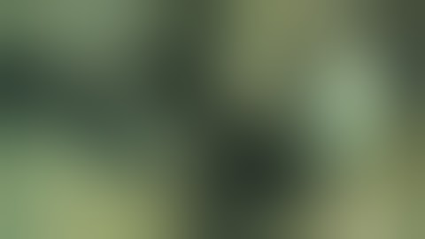 TRC Episode 39, Part 03