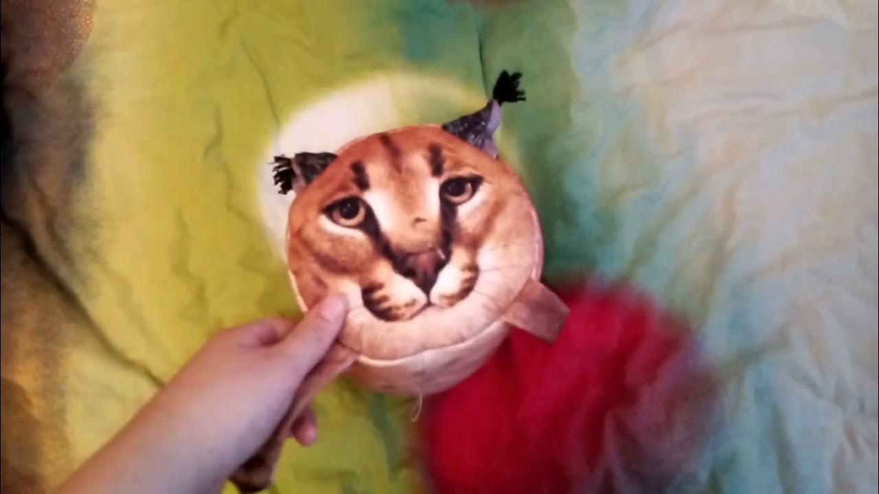 Обзор на игрушку от БлопТоп "Шлёпа" #блоптоп - YouTube