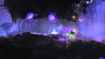 Ori DE - easy FACS setup