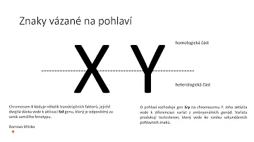 Co se týče pohlaví v Německu?