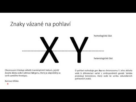 Video: Genetika: Každému Dvacátému člověku Není Určeno Vyhnout Se Předčasné Smrti - Alternativní Pohled