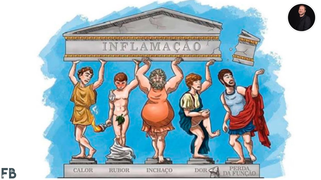 INFLAMAÇÃO - Mecanismos de resposta inflamatória aguda | Prof. Felipe Barros