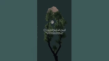 قران كريم اريح قلبك من ضجيج الحياه #تلاوة_خاشعة #قرآن #القرآن_الكريم #راحة_نفسية #اكتب_شي_تؤجر_عليه