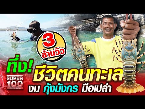 [Eng Sub] ทึ่ง!!! ชีวิตคนทะเล พี่เลี้ยว งมกุ้งมังกร มือเปล่า | SUPER100