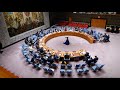 Заседание Совета Безопасности ООН по вопросу Нагорного Карабаха