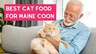 The 5 Best Cat Foods for Maine Coons in 2022 by The ideal Cat 6,335 views 1 year ago 4 minutes, 22 seconds