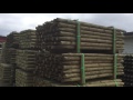Pressure treated fence posts Pressure treated fence posts