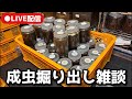 成虫を掘り出します。