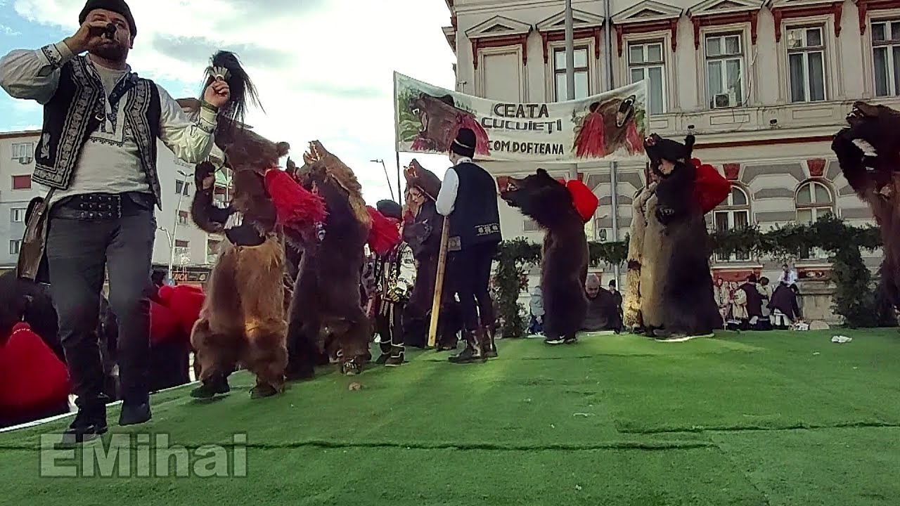 Urșii de la Cucuieți, la Alaiul Datinilor și Obiceiurilor de Iarnă - Bacău 2023