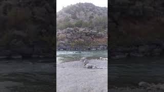 camping in New Mexico / Orilla Verde Campground