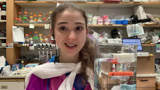 Protein dialysis in biochemistry - theory & practice