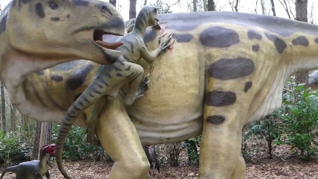 kleine rose Rex bij grote familie 10 februari 2026