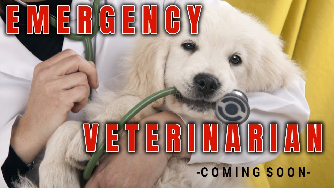 24 hours veterinary clinic in alabang