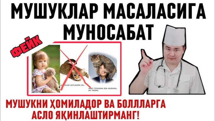 sexysu4ka.ru saytidan shaxsiy porno videolarni tomosha qiling Qiz videoga qongiroq qildi