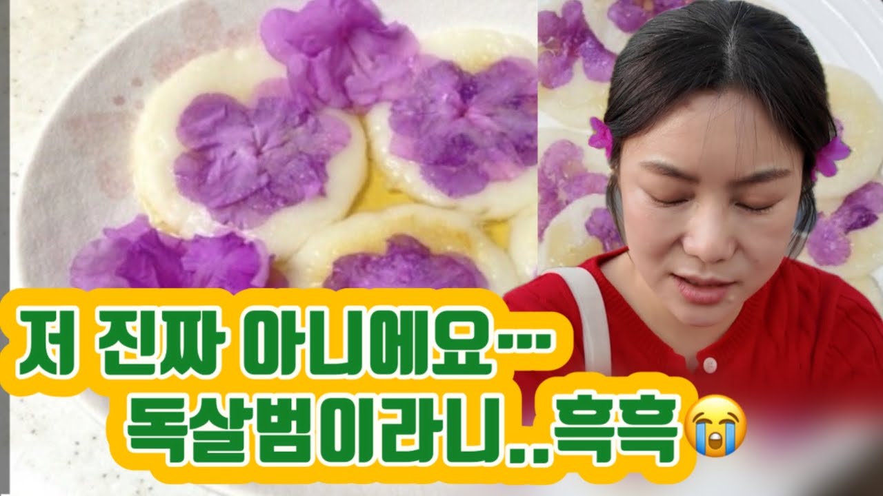 저 진짜 아니에요😭😭