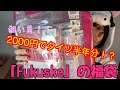 【お値段の４倍!!?】下着の福助（Fukusuke）のストッキング福袋がガチだった！！【2000円福袋】