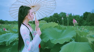 Rhapsody of the Goddess of the Luo River (Luo Shen Fu) /(洛神赋）