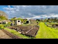 Barry&#39;s Allotment THE FIRST PLOT TOUR of season 2022