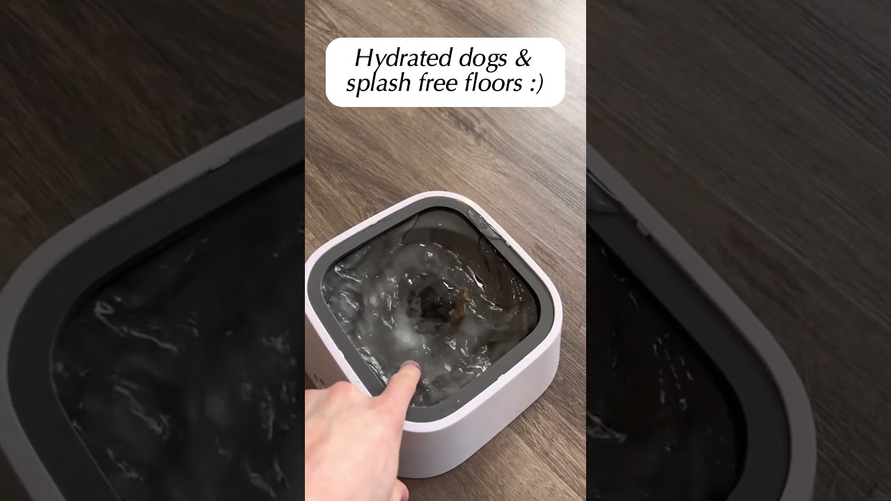 The SANCE™ Water Dispenser