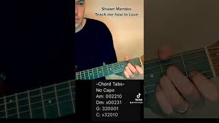 Shawn Mendes - Teach Me How To Love | Short Guitar Tutorial