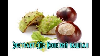 Экстракт СО2 Конский каштан // Средство от целлюлита // Против варикоза на ногах Экстракт СО2 Конский каштан // Средство от целлюлита // Против варикоза на ногах