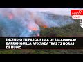 Incendio en Isla de Salamanca: Barranquilla afectada tras 72 horas de humo