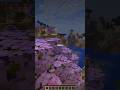 Roller coaster of emotions #100dayschallenge #nether #minecraft #funnymoments