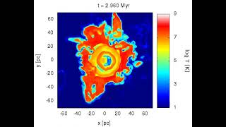 Hydrodynamical Simulation