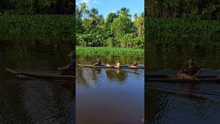 La magia de la diversidad de Venezuela. #venezuela #deltaamacuro #tucupita #biodiversidad