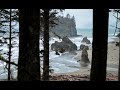 Olympic National Park Road Trip