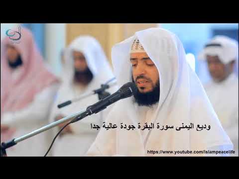 Best Recitation of Surah Al Baqarah By Wadi Al Yamani